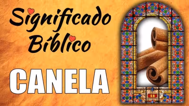 Canela: Significado Espiritual Bíblico