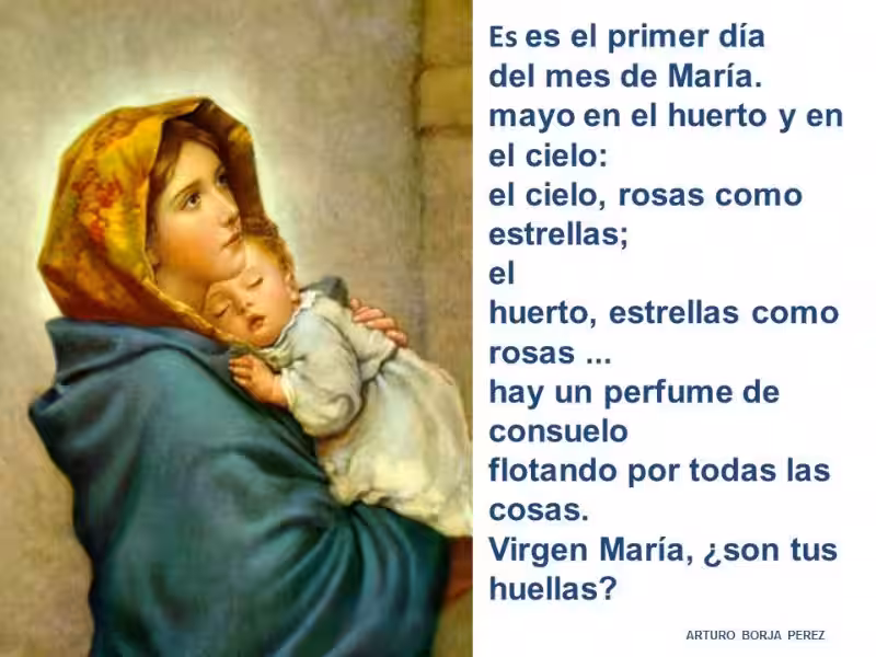 cuantos-hijos-tuvo-la-virgen-maria