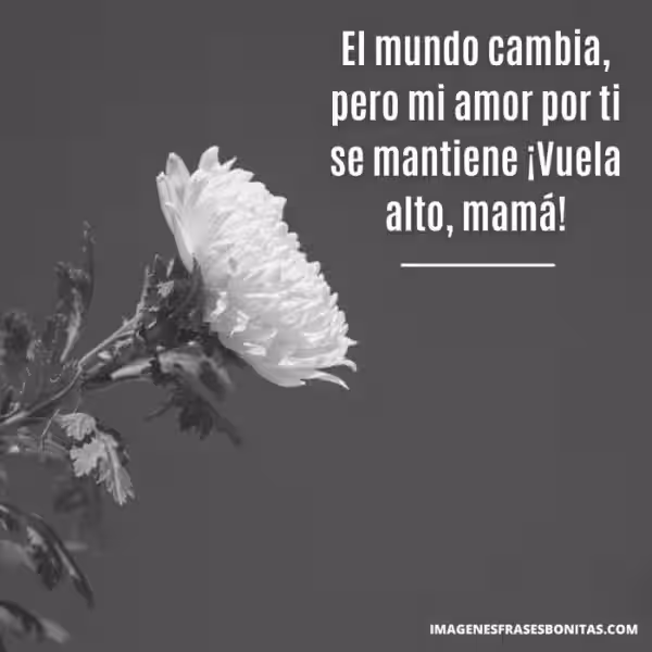 frases-para-padres-y-madres-fallecidos