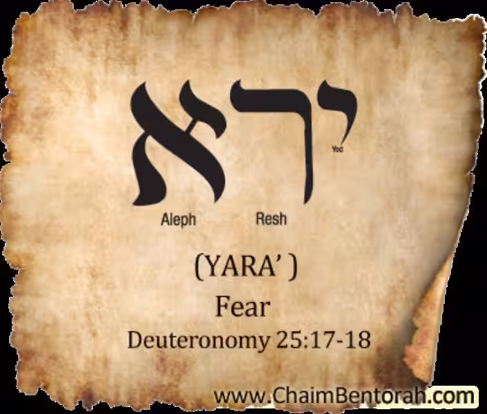 The Hebrew Meaning of Fear: Unpacking Yir'ah The Hebrew Meaning of Fear: Unpacking Yir'ah