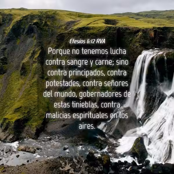 no-tenemos-lucha-contra-sangre-ni-carne