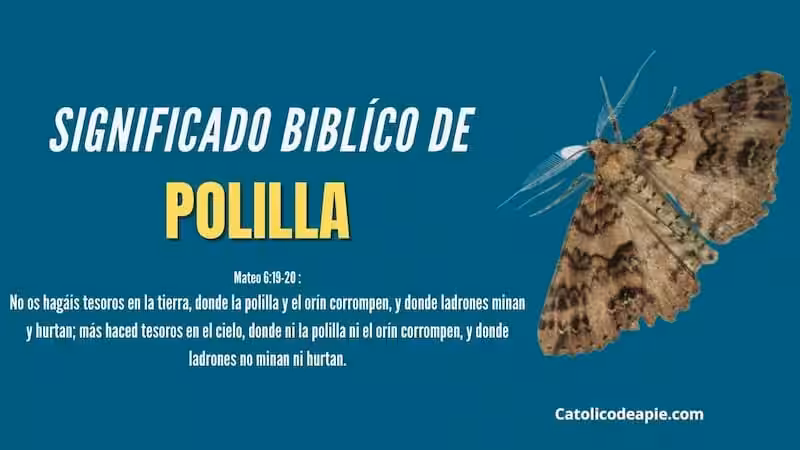polilla-significado-biblico