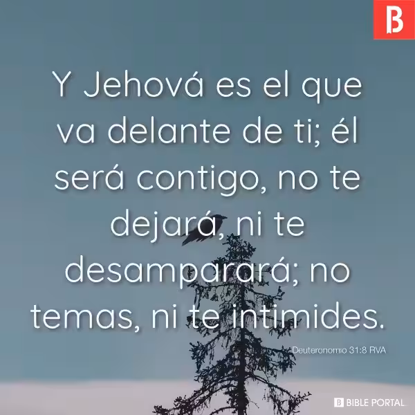 que-pasa-si-nunca-te-has-desmayado-biblia