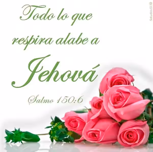 que-todo-lo-que-respire-alabe-a-jehova