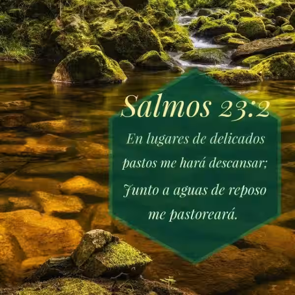 salmo-23-de-la-biblia-catolica