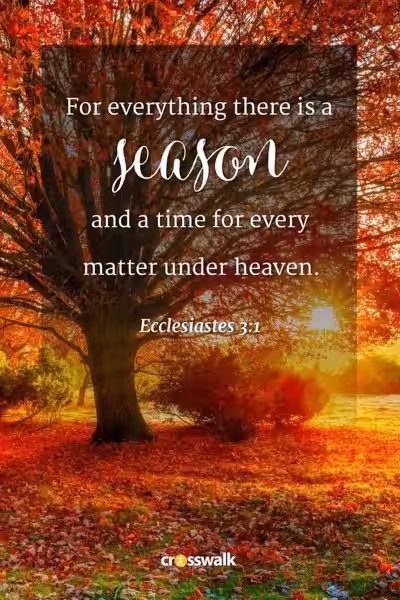 Scripture for Autumn: Finding Faith in the Falling Leaves Scripture for Autumn: Finding Faith in the Falling Leaves