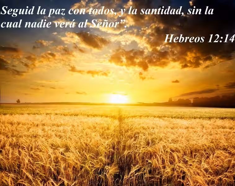 sin-santidad-nadie-vera-a-dios