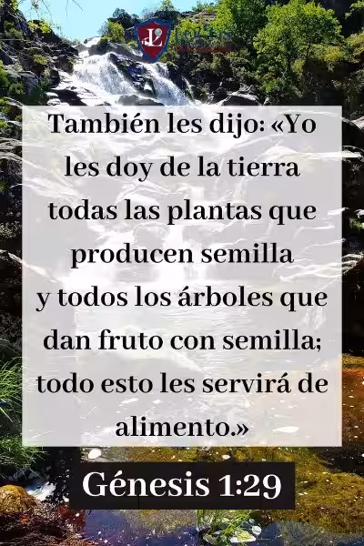 versiculos-de-amor-de-dios-reina-valera-1960