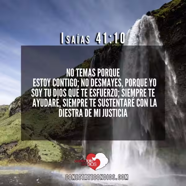 versiculos-de-biblia-de-animo