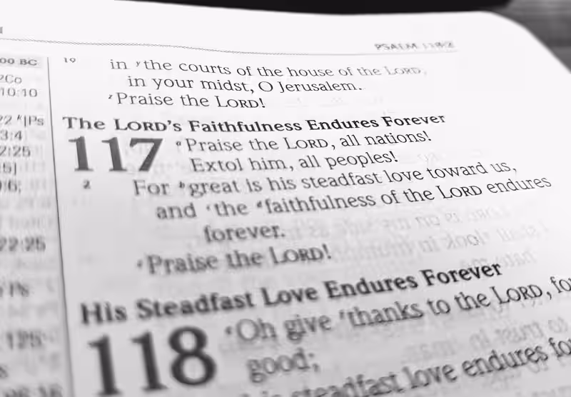 What is the Shortest Bible Chapter?